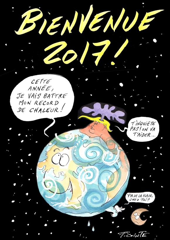 bonne année 2017
